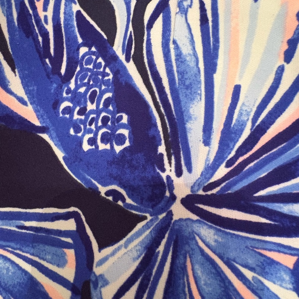 Lilly Pulitzer Blue and White Shorts - Picture 5 of 7